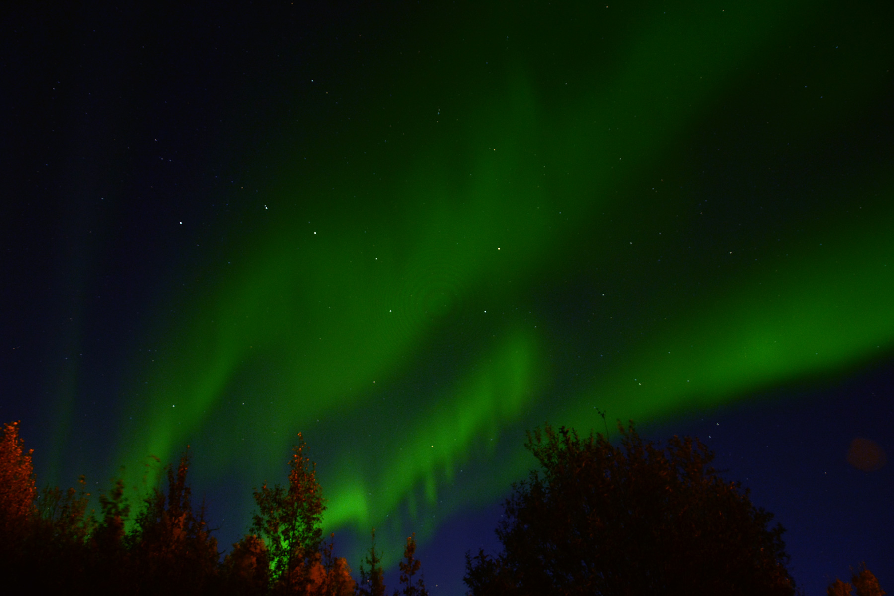 Curtains of Northern Lights