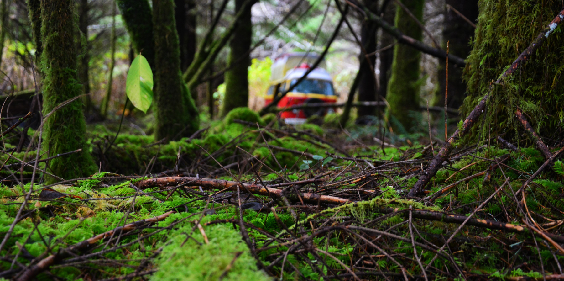 Popular Questions: Really, You Can Camp for Free?