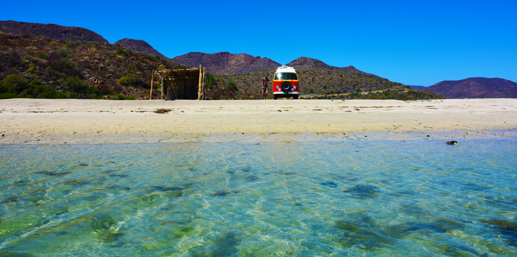 #74 I Have Decided that the Ocean is Not Scary!