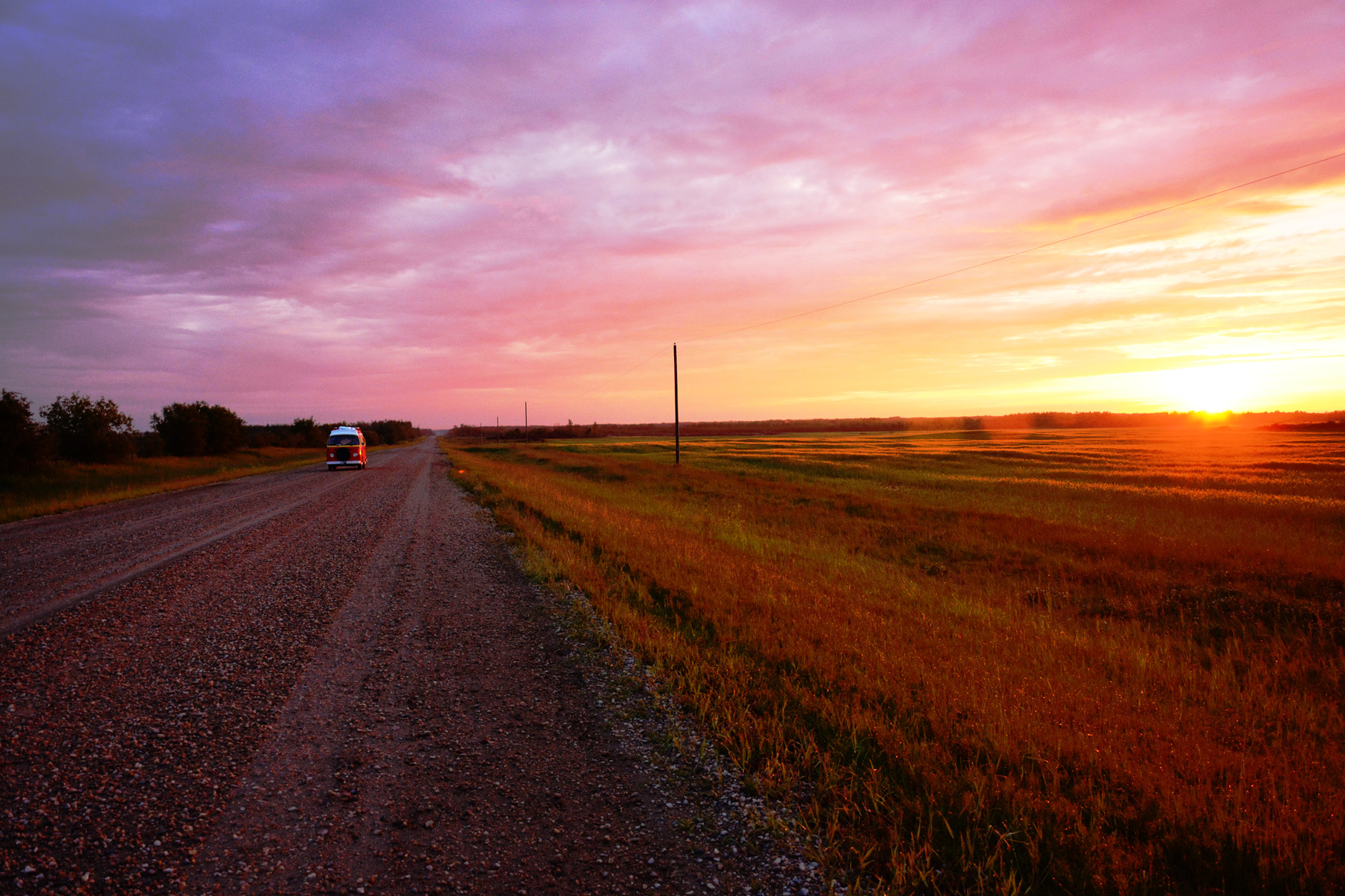 big-emma-in-the-sunset