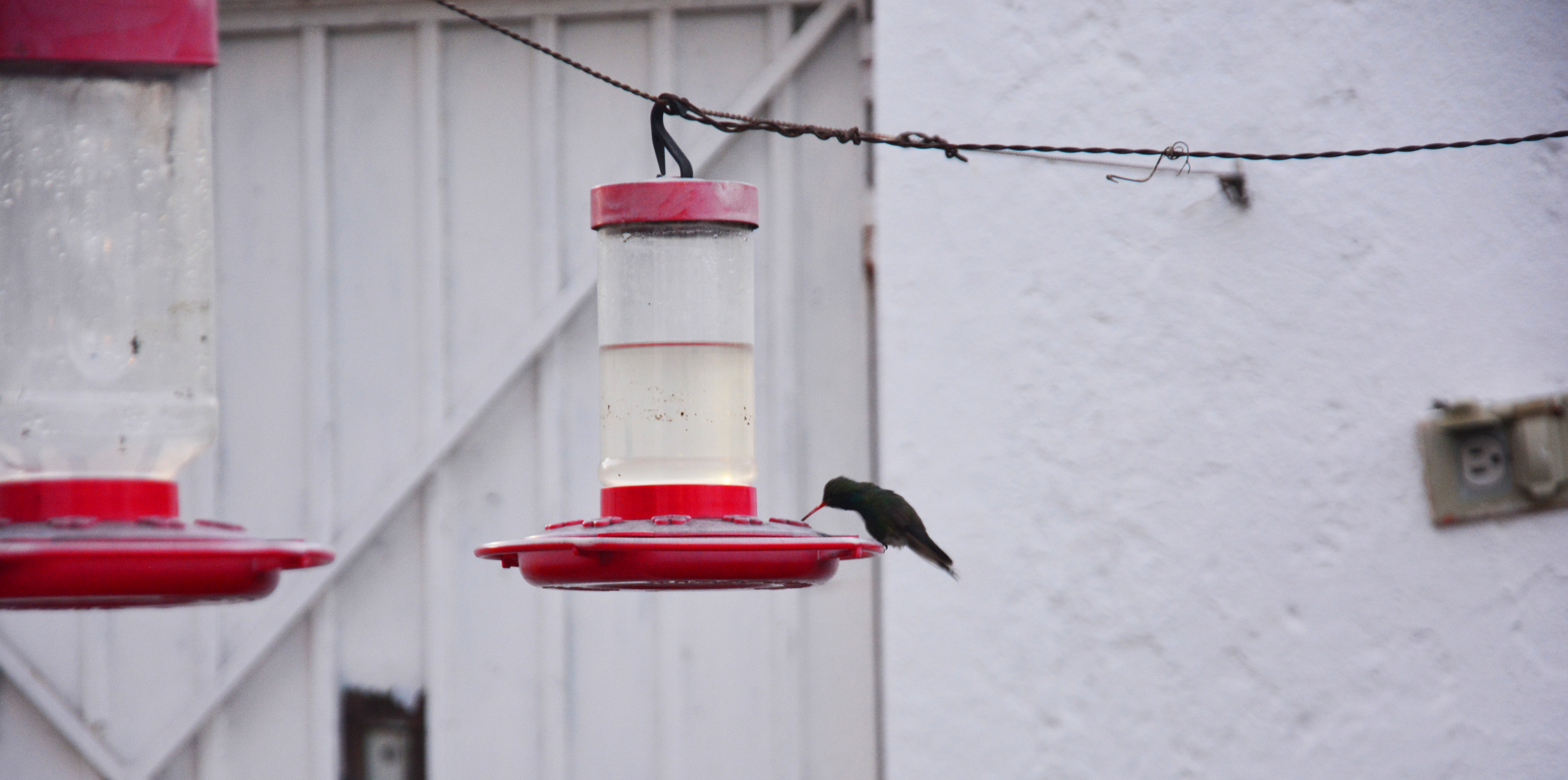 #89 I Have a Present for Annika