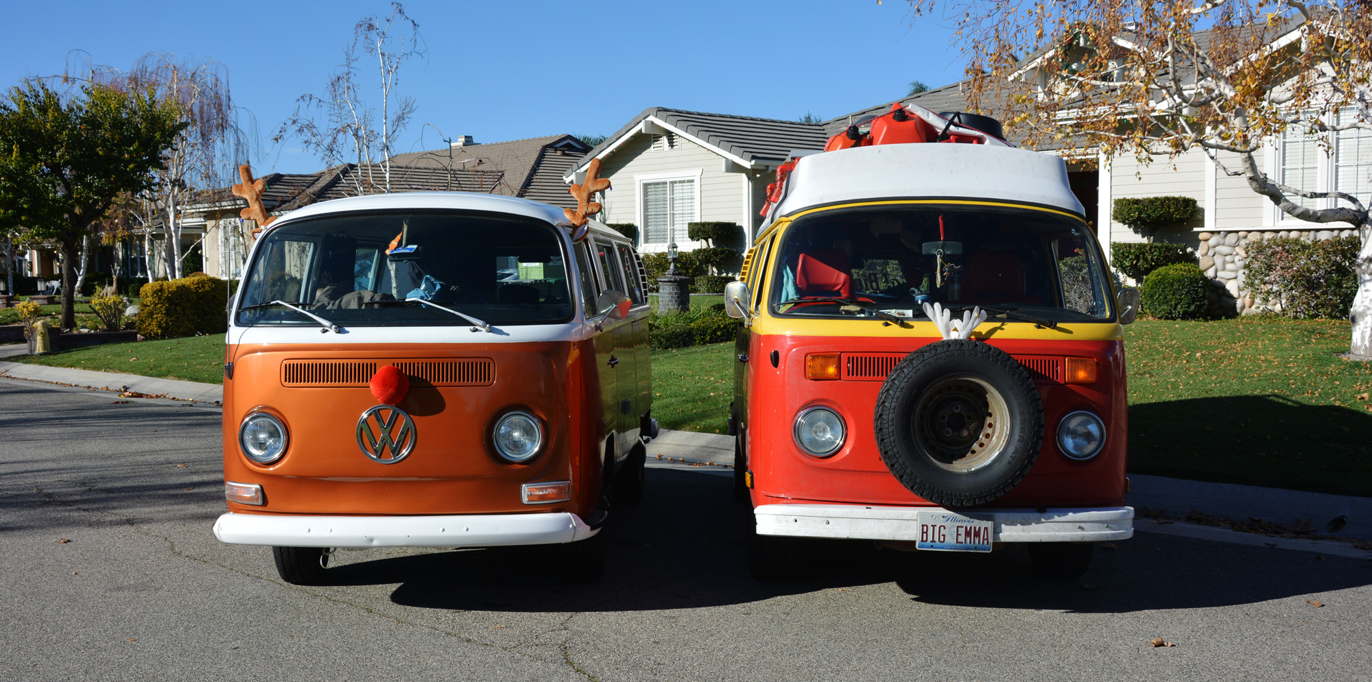 #52 I Get to See Buddy and his Human Again and that's Better than Florida!