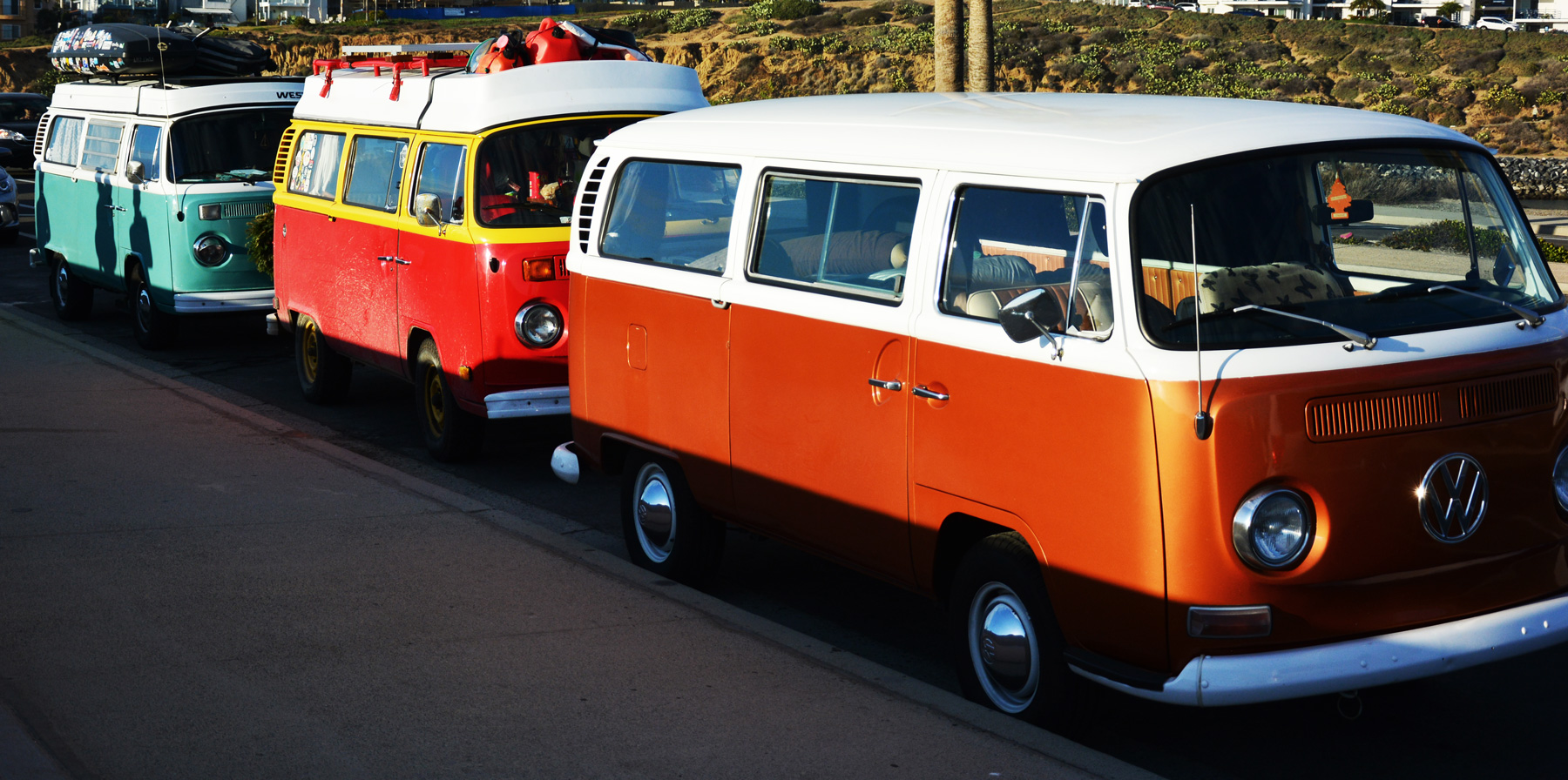 #37 Surfing is Stupid and We Found Rita!