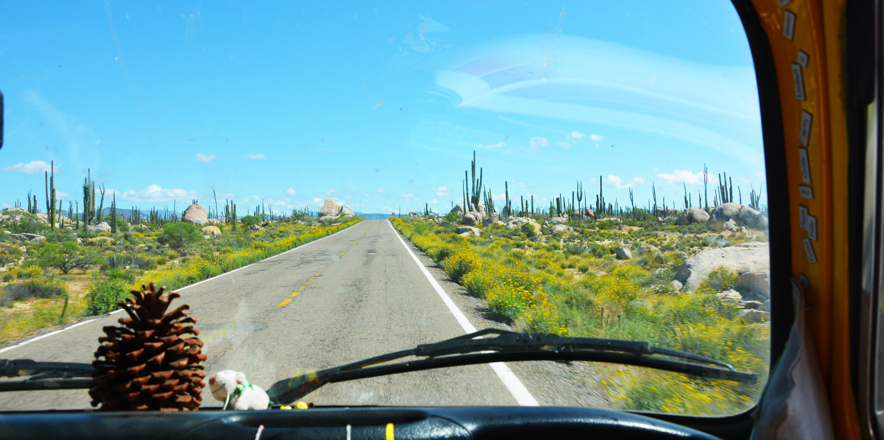 Snapshots: Some Moments Don't Need Words