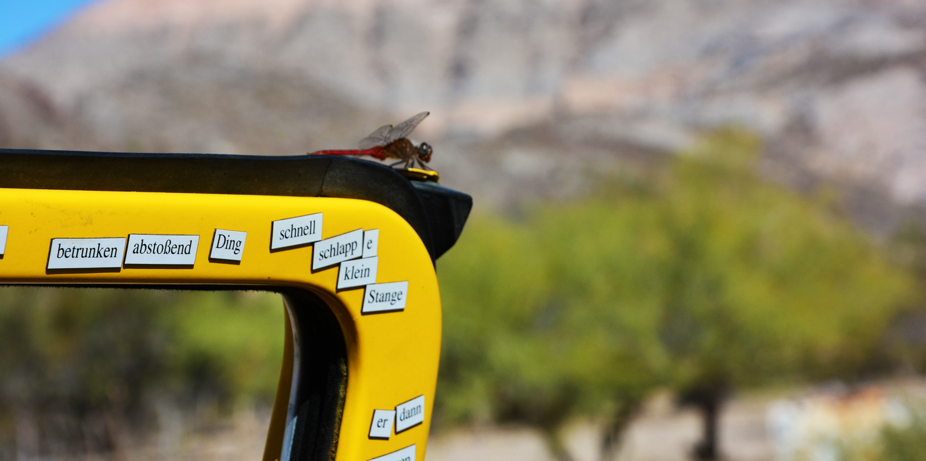 #83 I Miss Annika and I Found a Flying Dragon