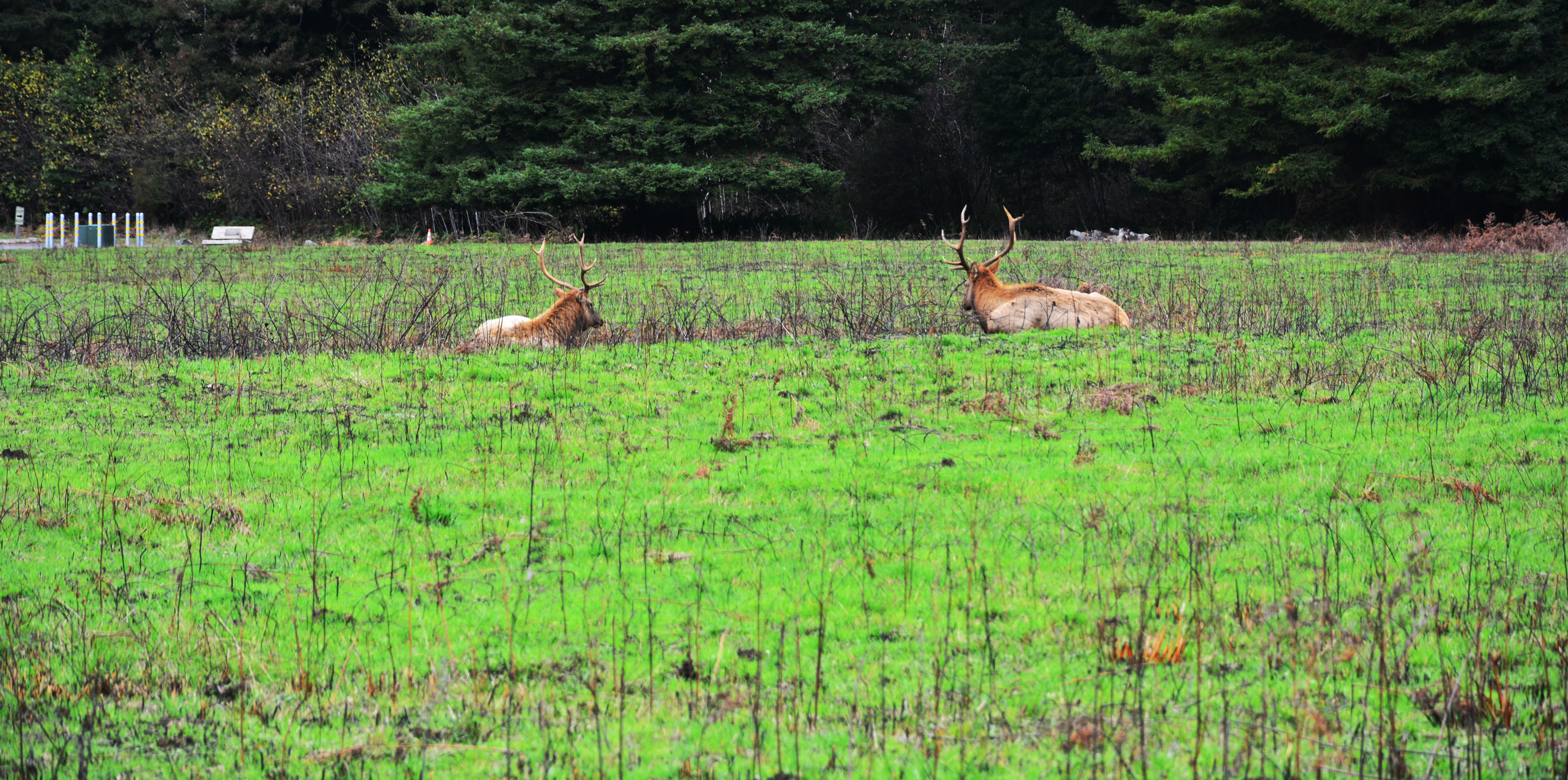 #24 I Will Add Them to My List