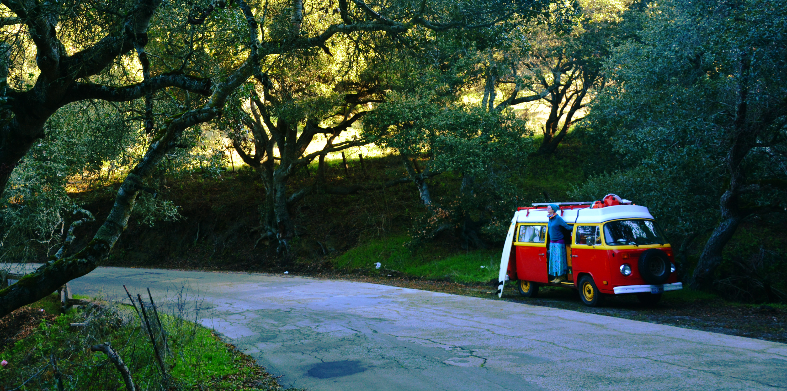 A Discussion Concerning Social Responsibility