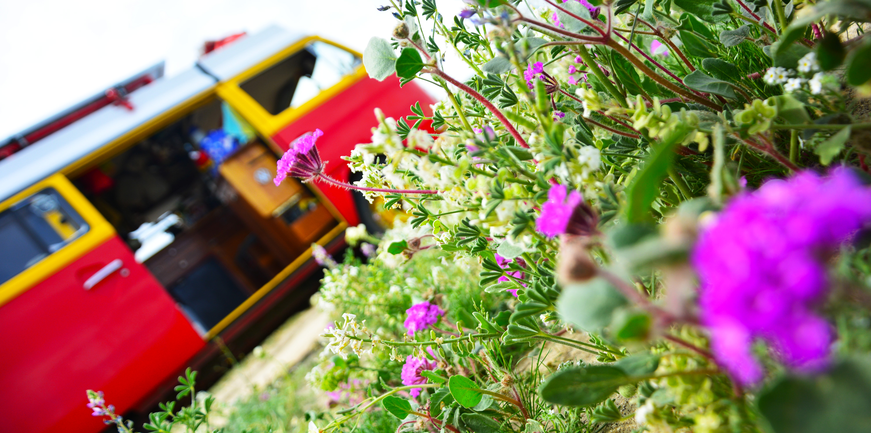 #62 I Can't Wait to go to Mexico