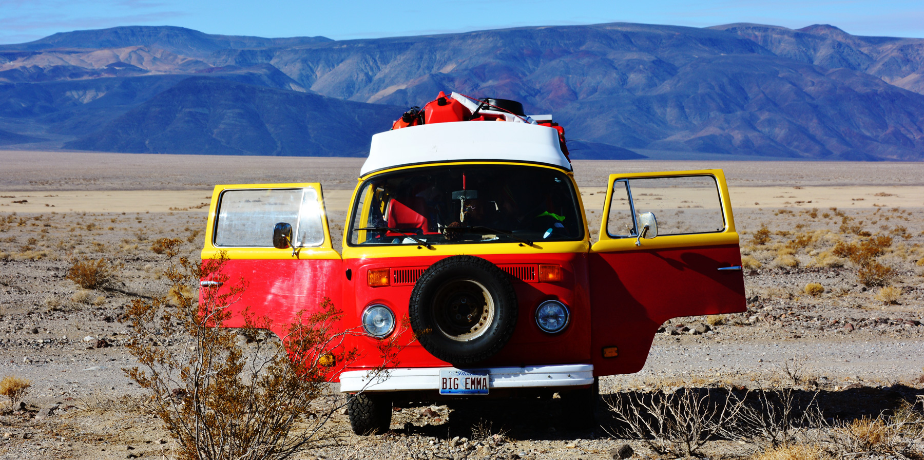 #42 I like the Desert, and Birds