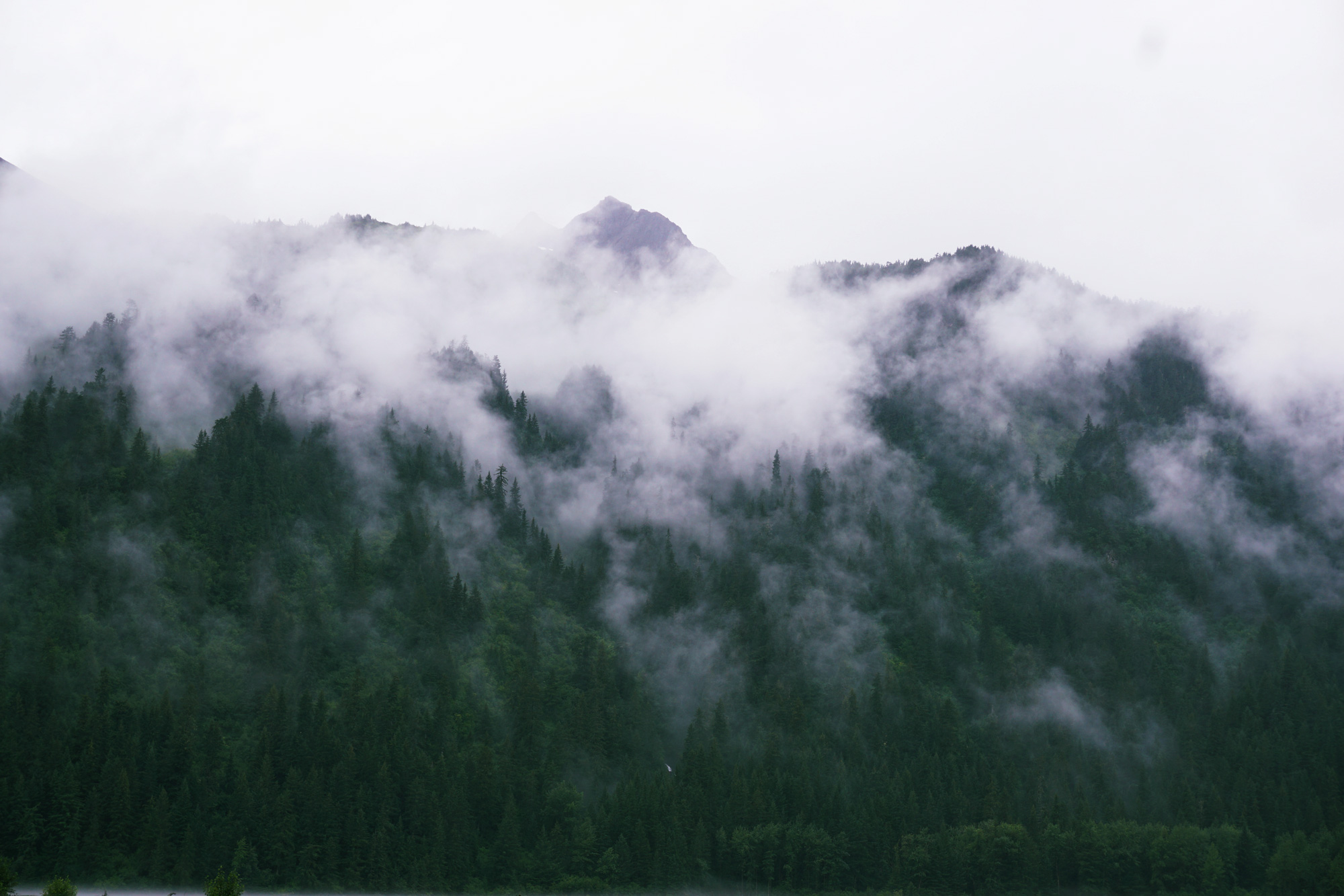Foggy_Mountain