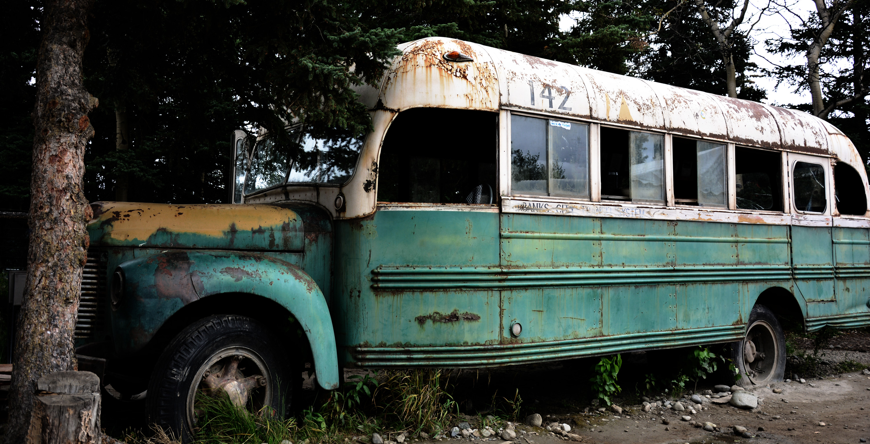 We Don't Walk Into the Wild