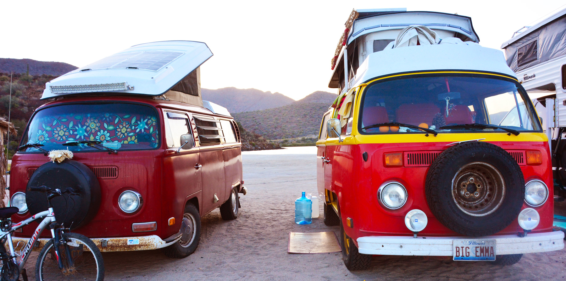 #71 My Old Friend Red Beard