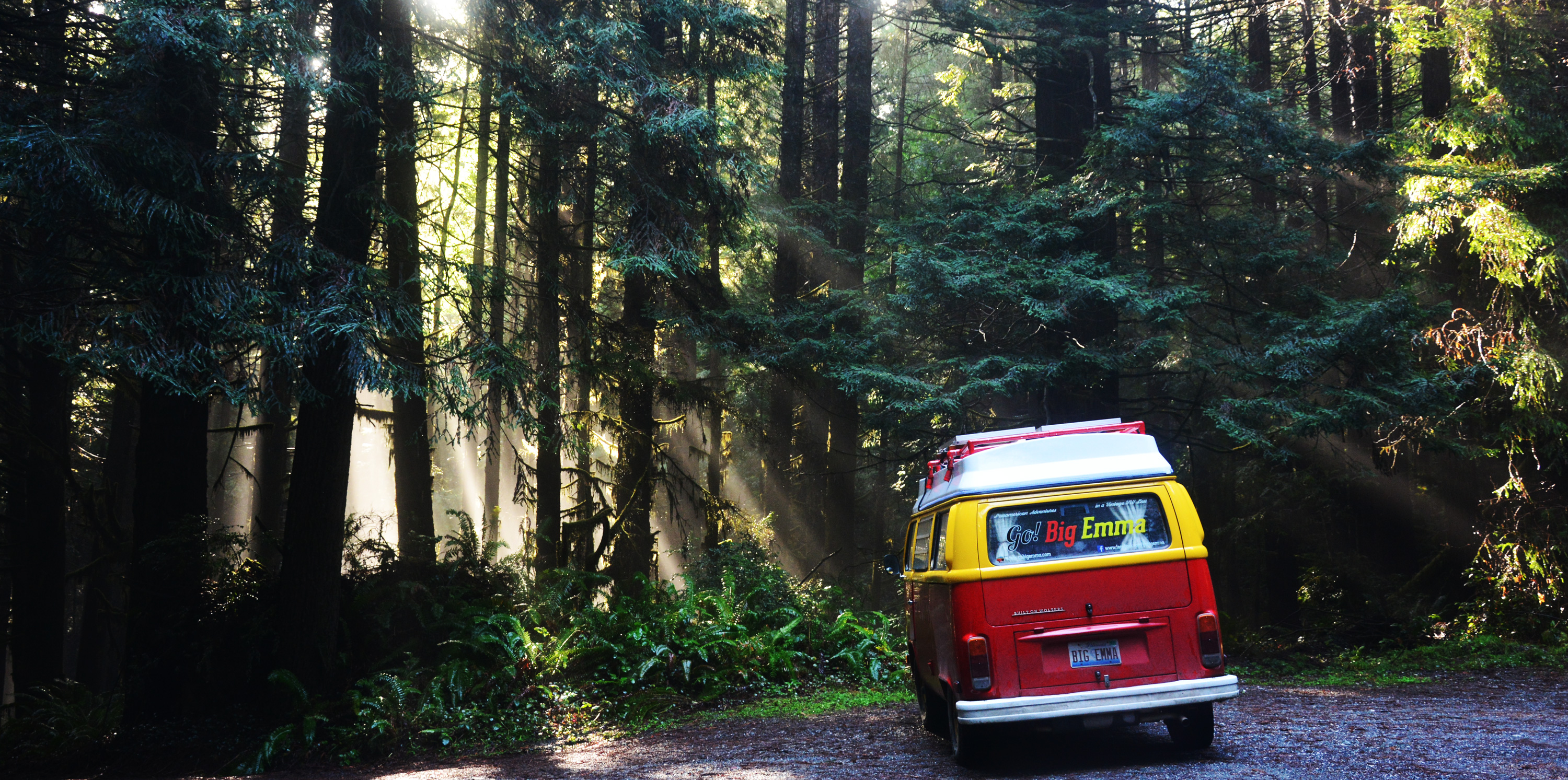 #21 No, THIS is my Favorite Forest