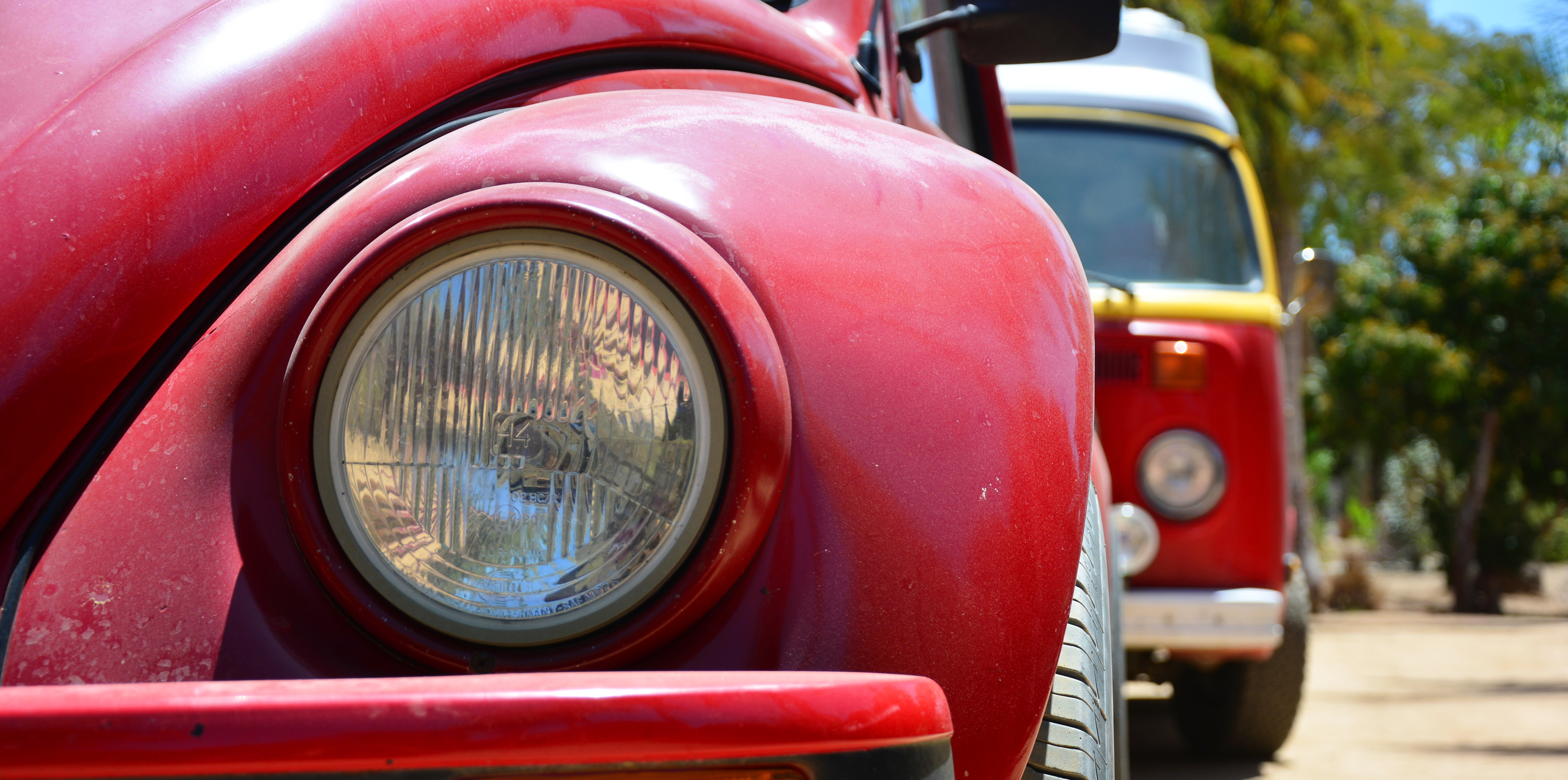 #85 Bugs Aren't so Different After All