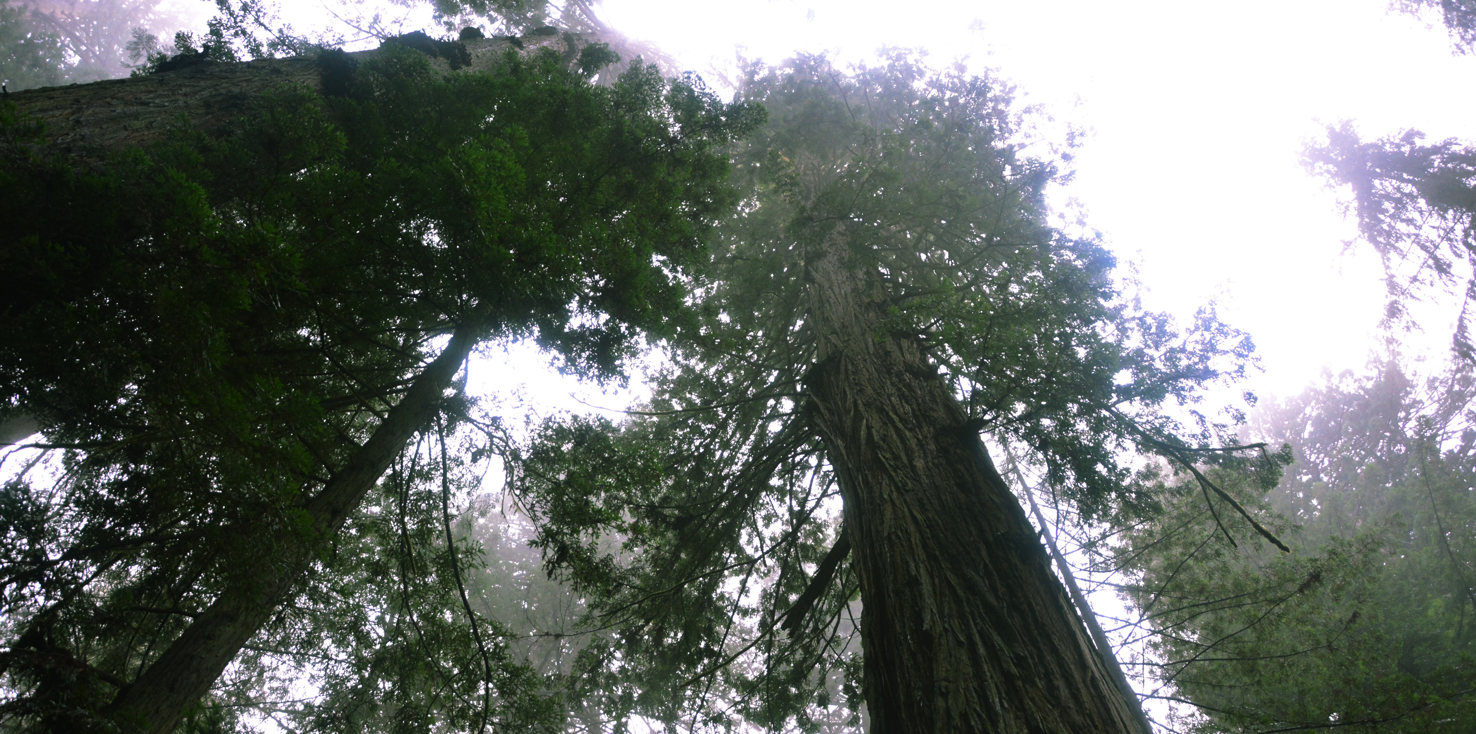 #22 I Wonder What it's Like Up There