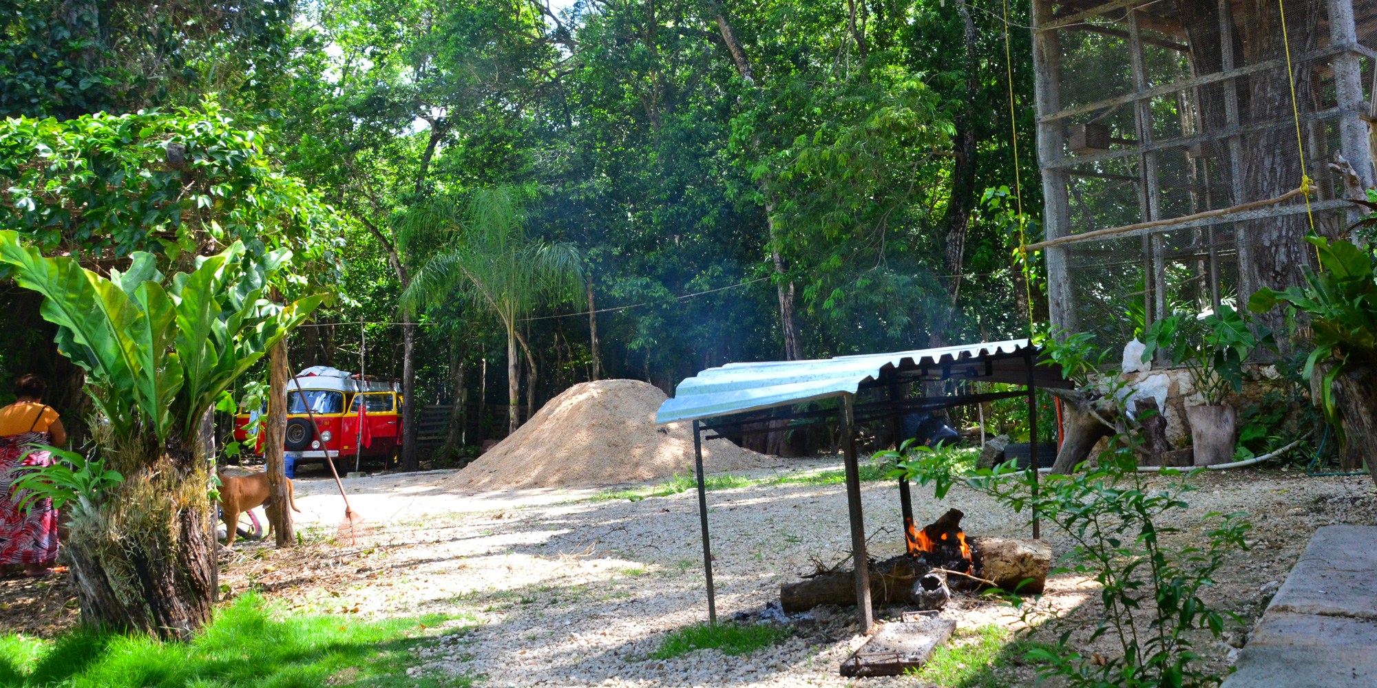 Hidden in the Jungle: Real Life on the Riviera Maya