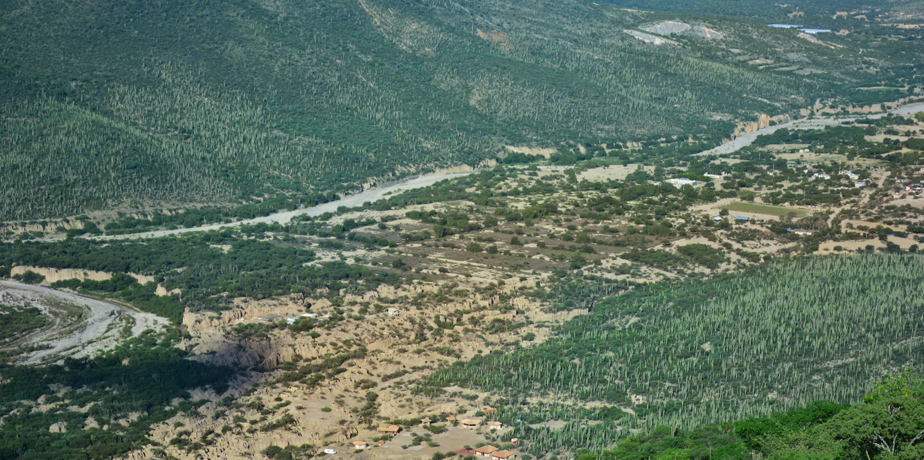 #114 Where is Big Emma?