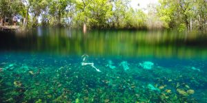 cenote-waterline